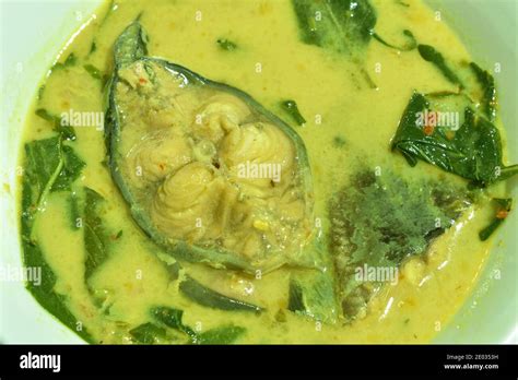 Spicy Boiled Slice Catfish With Basil Leaf In Coconut Milk And Curry On