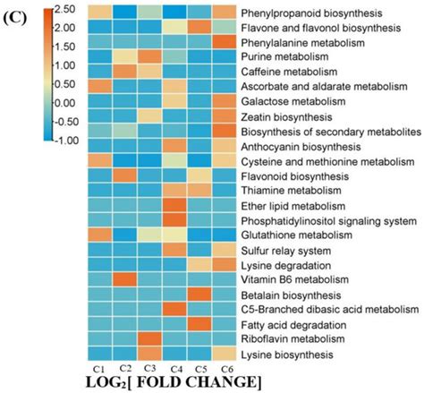 Ijms Free Full Text Integration Of Metabolomics And Transcriptomics