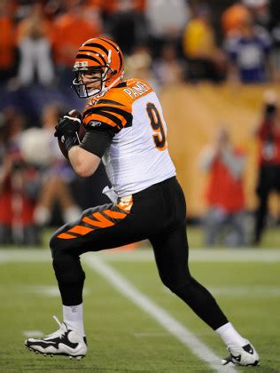 Cincinnati Bengals Carson Palmer Throws During Editorial Stock Photo ...