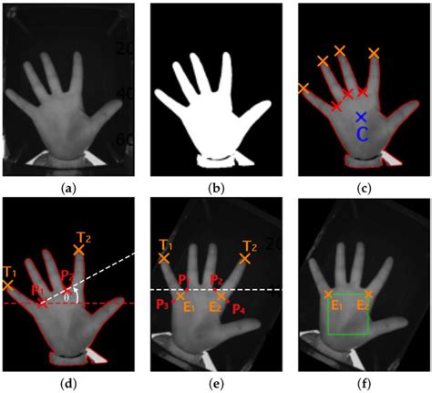 Applied Sciences Free Full Text Contactless Palm Vein Recognition