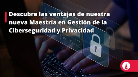 Descubre Las Ventajas De Nuestra Nueva Maestría En Gestión De La Ciberseguridad Y Privacidad