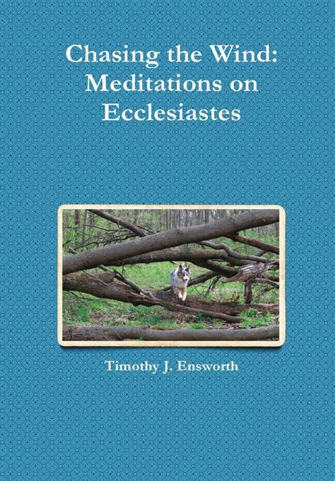 Chasing The Wind Meditations On Ecclesiastes Hardcover