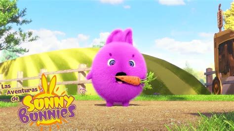 Las Aventuras De Sunny Bunnies Granja De Hortalizas Dibujos Para