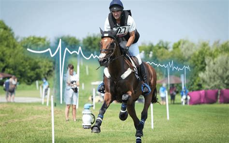 Heart Rate The Horse Athletes Health Asset