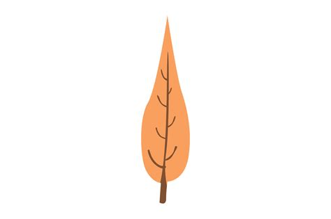 Autumn Leaf With Transparent Background 24033545 PNG