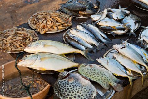 Fischmarkt In Kerala Indien Fish Market In Kerala India Stock Photo