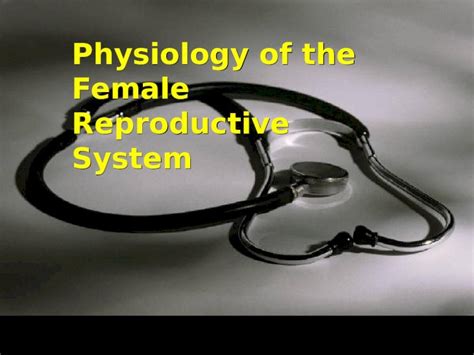 PPT Physiology Of The Female Reproductive System Physiological