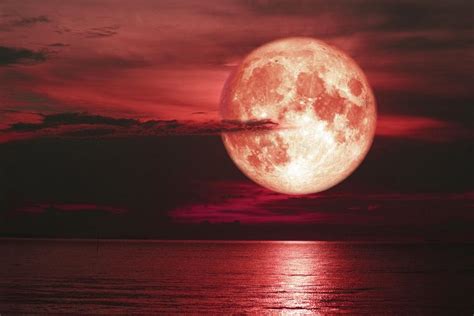 Todays Full Moon Is The Strawberry Moon Why It Is The Sweetest Moon