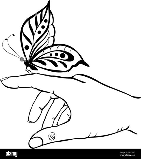 Hand holding butterfly Stock Vector Image & Art - Alamy