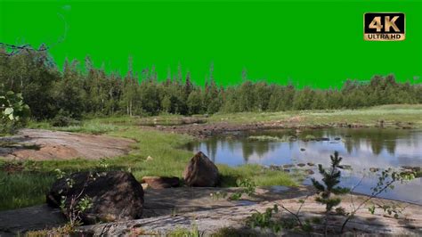 Nature Green Screen Background Video Youtube