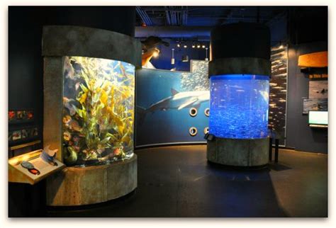 San Francisco Bay Aquarium | SF Tourist Information