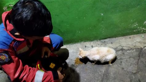 Sudindamkarjaksel On Twitter Evakuasi Kucing Dalam Sumur Pukul