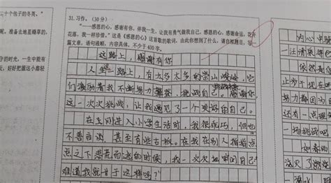 五年级学生满分作文，小学阶段有这样的文笔，这孩子确实不简单！ 搜狐大视野 搜狐新闻