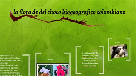 La Flora De Del Choco Biogeografico Colombiano By Christian Daniel On Prezi