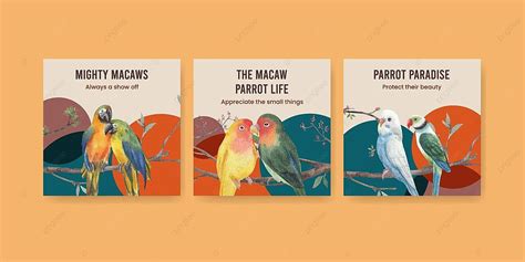 Watercolor Style Macaw Parrot Bird Concept Banner Template Vector