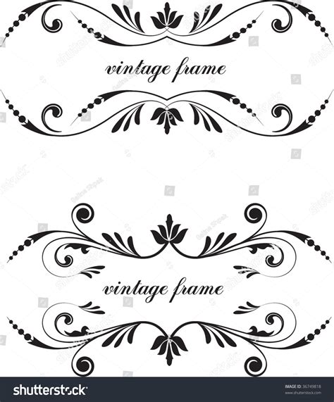 Decorative Calligraphic Scrolls Stock Vector Illustration 36749818