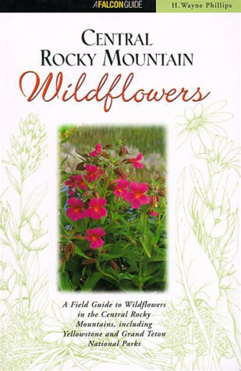 Central Rocky Mountain Wild Flowers A Field Guide To Common