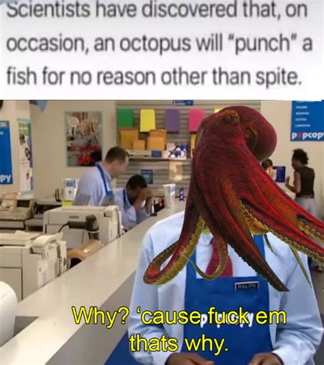 Fuck The Fish R FUCKYOUINPARTICULAR