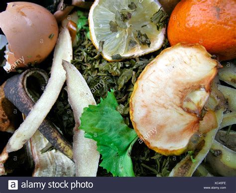 Organic Waste Kitchen Stock Photos And Organic Waste Kitchen Stock Images