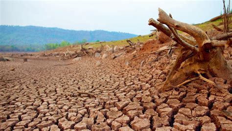 D Gradation Des Sols Et D Forestation Des Menaces Cologiques Majeures