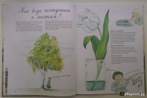 Книга: Круглый год - Ульф Сведберг. Купить книгу, читать рецензии ...