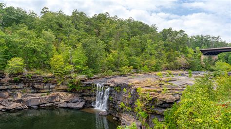 Digital archives will soon preserve all davis little obituaries 14