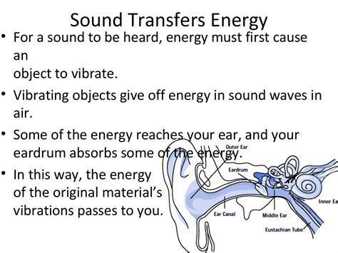 5th Grade Chapter 14 Section 2 What Is Sound Energy