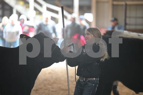 2018 Neil Wise Memorial Steer And Heifer Show Jacqueline Peters