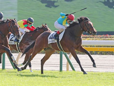 【東京2r・2歳未勝利】祖母に仏g1馬を持つエバーハピネスが内から伸びてv ライブドアニュース