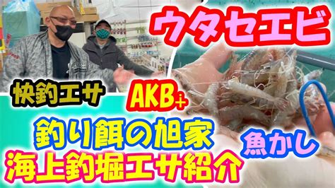 【海上釣堀】海上釣堀エサ紹介！釣り餌の旭家にウタセエビ入荷しました。 O ／ Youtube