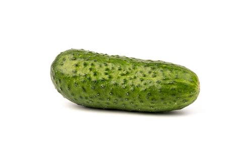 Pepino Vegetal Isolado Em Fundo Branco Imagem De Stock Imagem De Meio