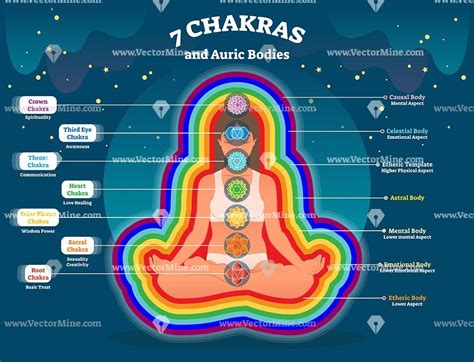 Aura Body Layers Seven Chakras Diagram Aura Body Chakra Aura Reading