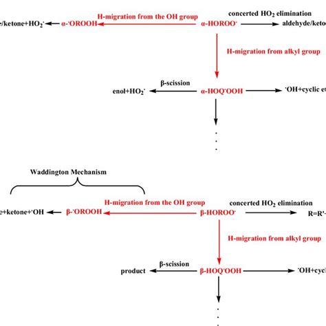 A Consumption Channels Of α Hydroxyalkylperoxy Radicals α Horoo· B