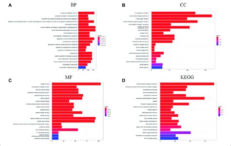 A C GO Functional Enrichment Analysis Of DEGs In The Two Risk