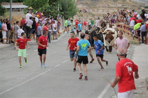 Tibi Celebra Su Tradicional Entr De La Vaca Informaci N