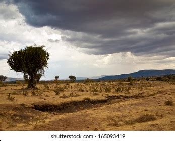 1,483 African savanna raining Images, Stock Photos & Vectors | Shutterstock