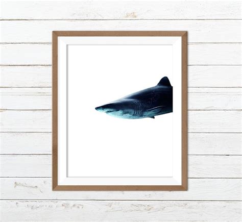 Shark Print, Shark Wall Art, Shark Printable - Etsy | Fox wall art ...