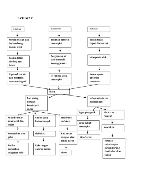 Pathway Diare Pdf