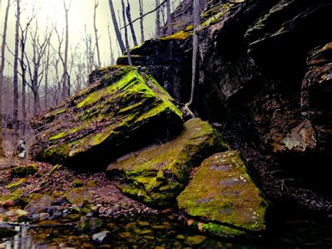 15 Scenic Trails For Hiking In Illinois Midwest Explored