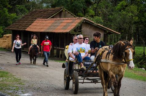 Passeio De Charrete