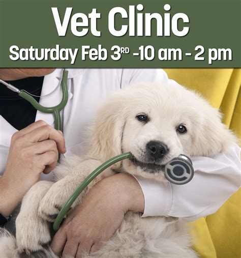 Are Dogs Allowed In Rural King