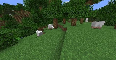 Forest in Minecraft