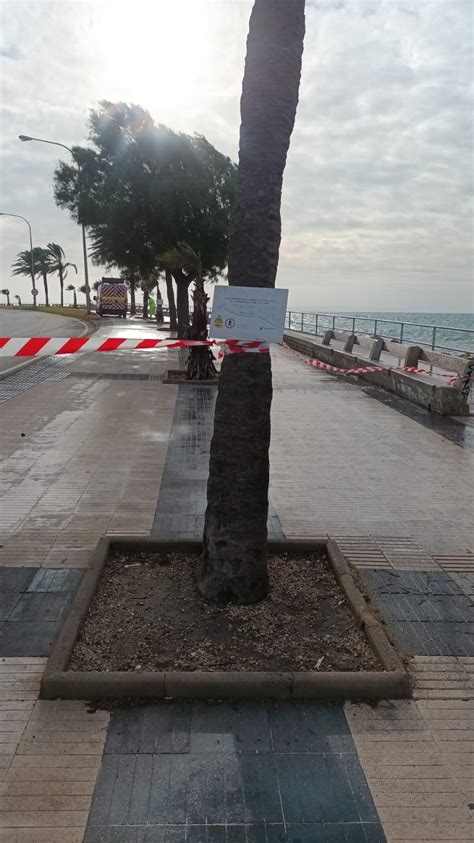 El tiempo en Mallorca El fuerte viento obliga a cerrar el Paseo Marítimo