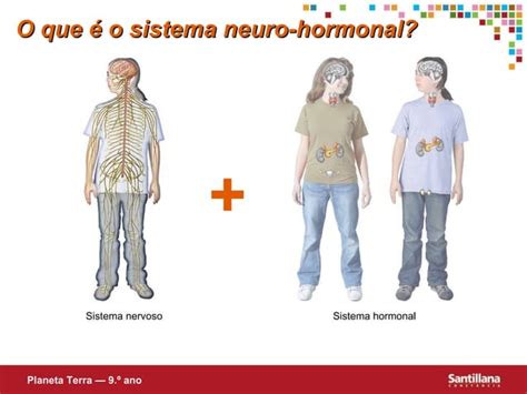 Unidade 4 Sistema Neurohormonal PPT