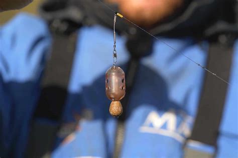 Maggot Rig For Carp The Complete Guide