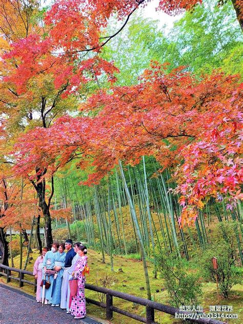 京都賞楓景點 🍁分享京都人氣且優美的楓紅景點！👍😊 日本旅遊板 Dcard