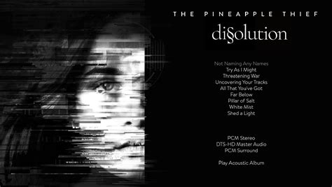 The Pineapple Thief Dissolution Review Surroundmixe De