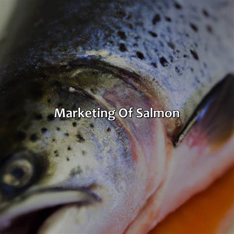 What Color Is Salmon Naturally - Branding Mates