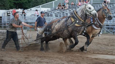 Festival Western St Andr Avellin Pr Sente Tire De Chevaux Juillet