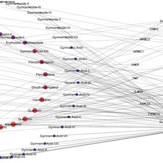 Protein–protein interaction network | Download Scientific Diagram